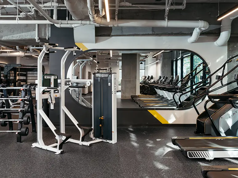 gym