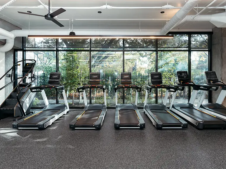 gym