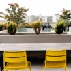 Rooftop + Patio