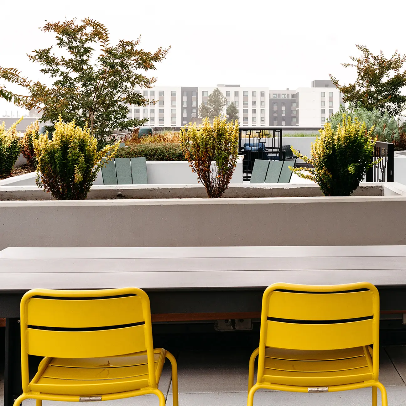 outdoor lounge