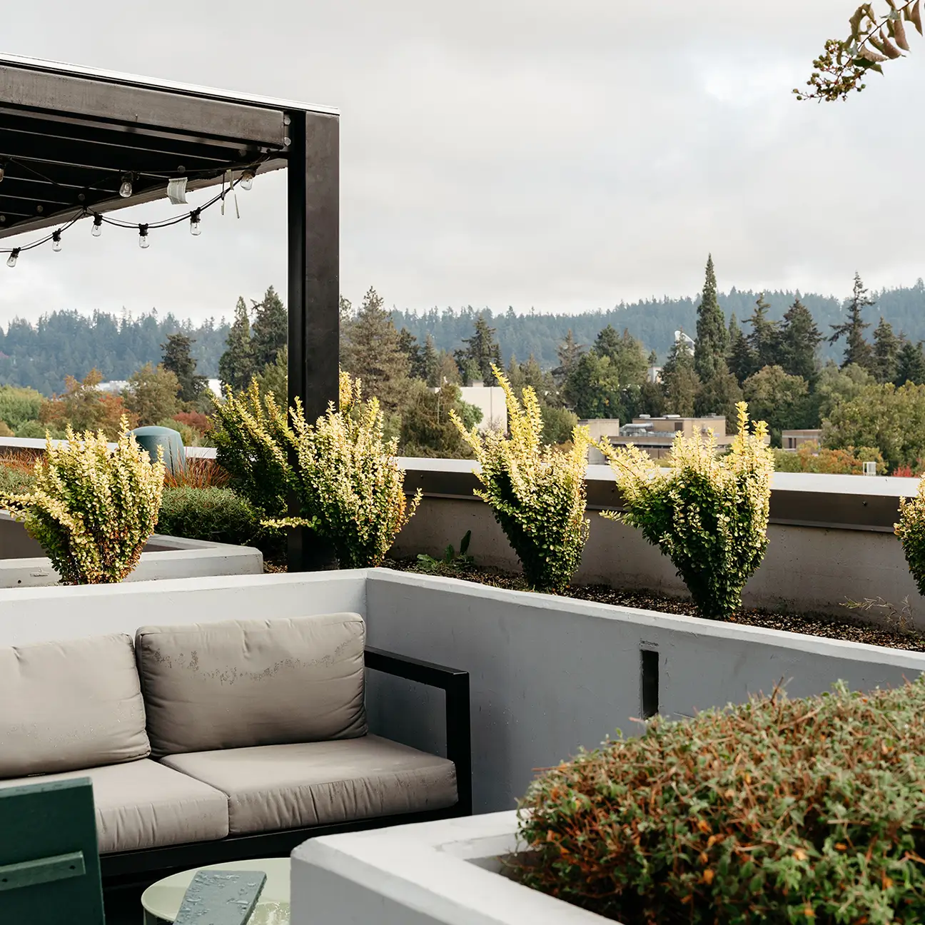outdoor lounge
