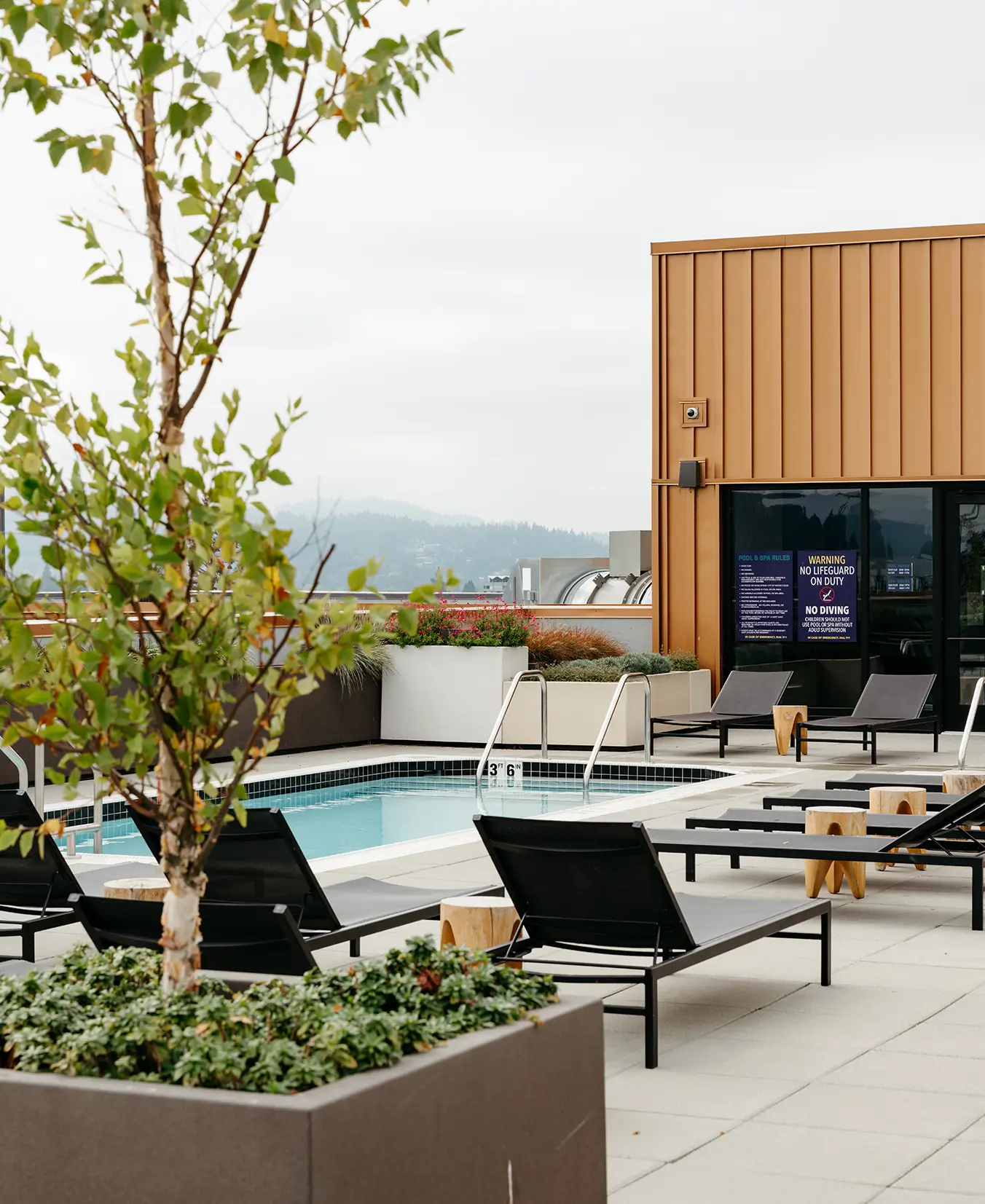 pool area