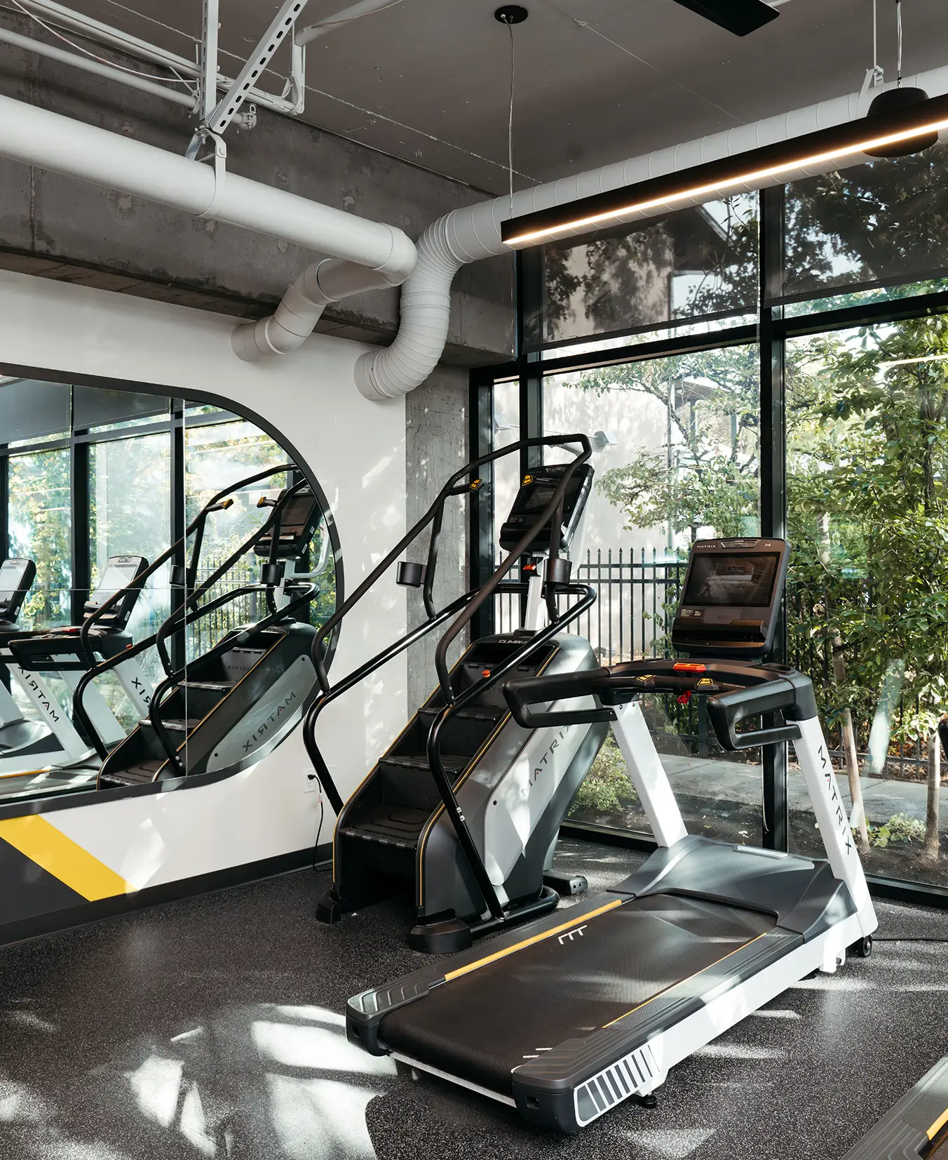 gym